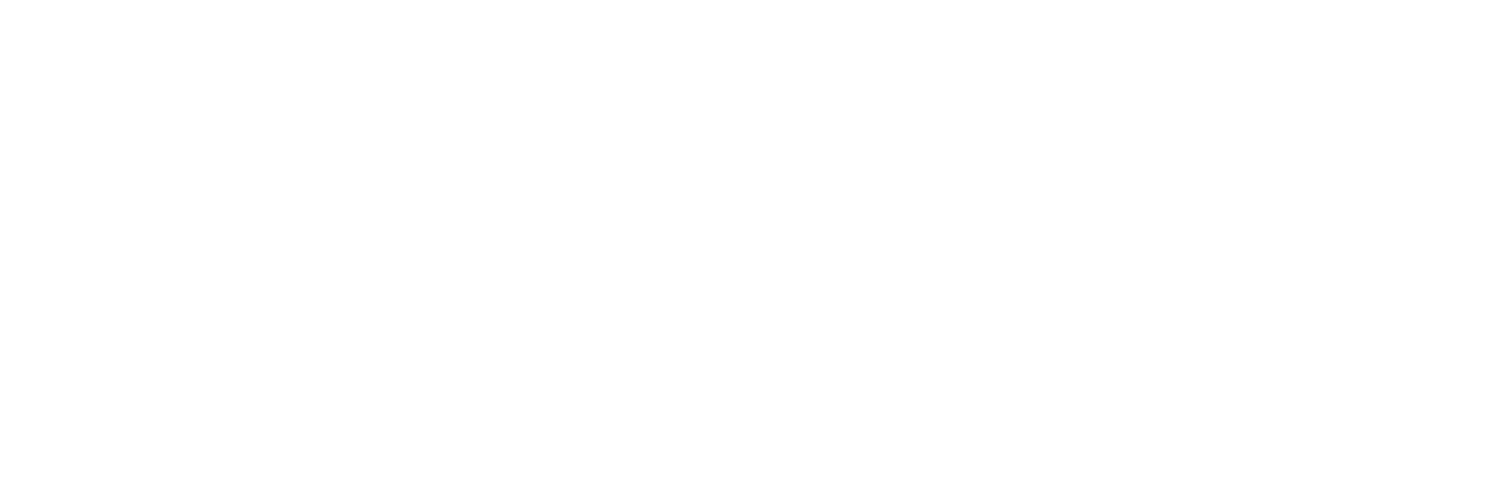 Aníbal Bottini.